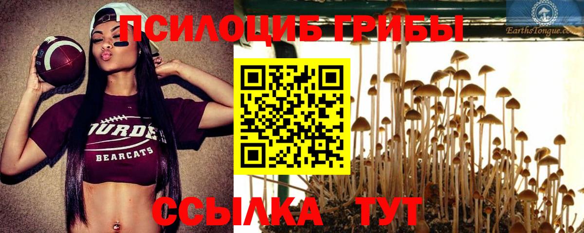Снежинск  купить   Вход с VPN  Псилоцибиновые грибы MAGIC MUSHROOMS 